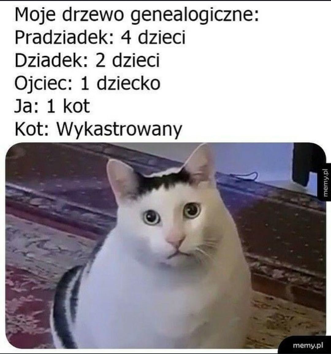 Obrázek genealogia