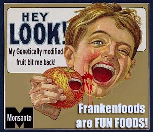 Obrázek genetically modified