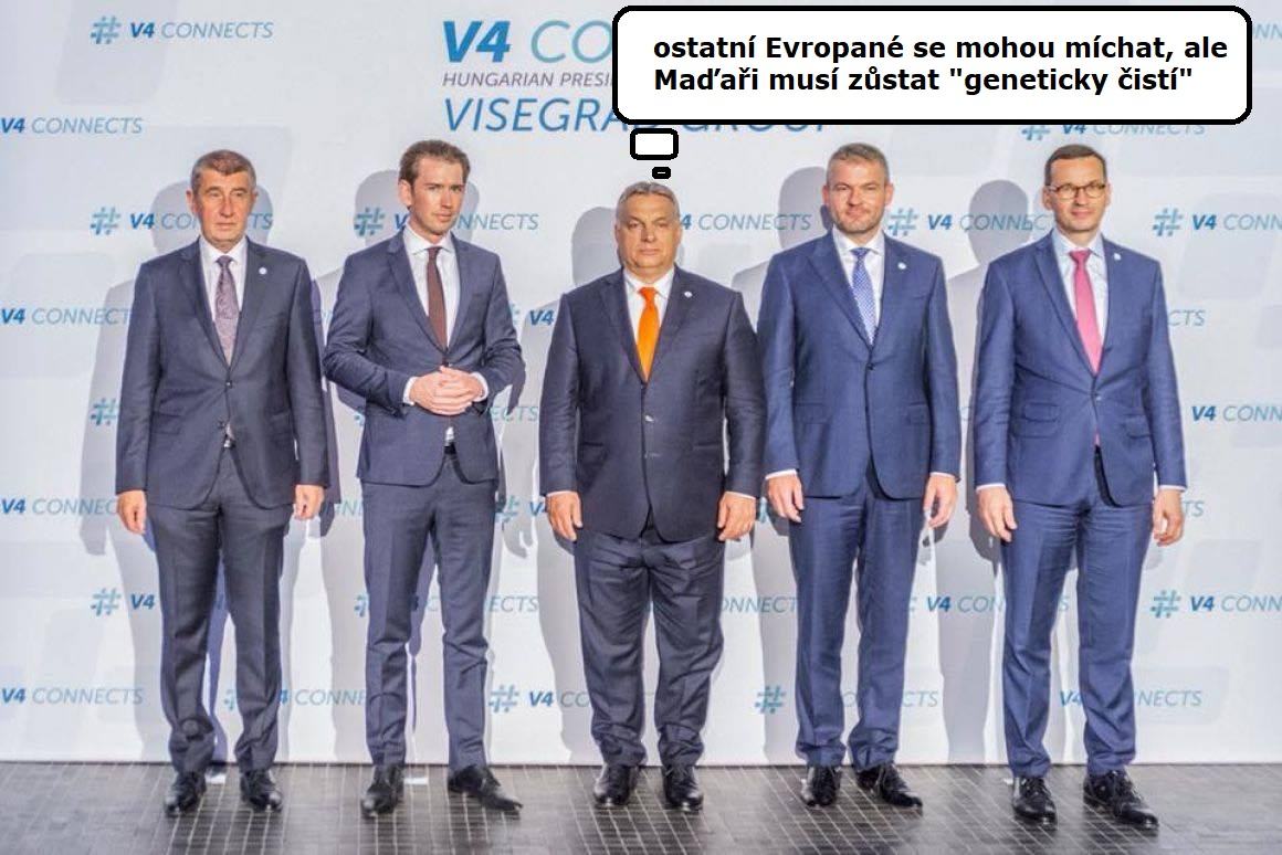 Obrázek geneticky cisti