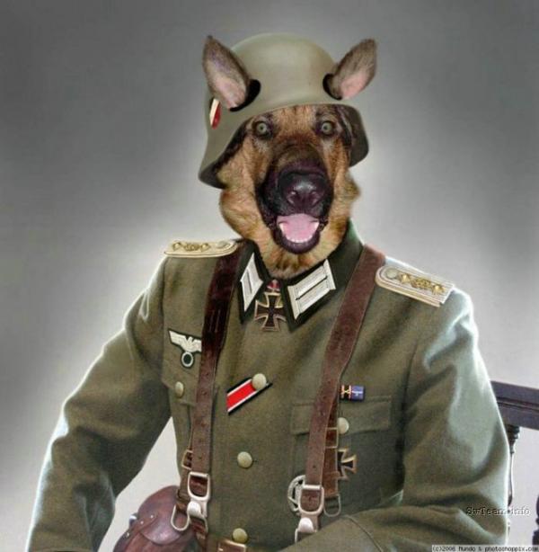Obrázek german