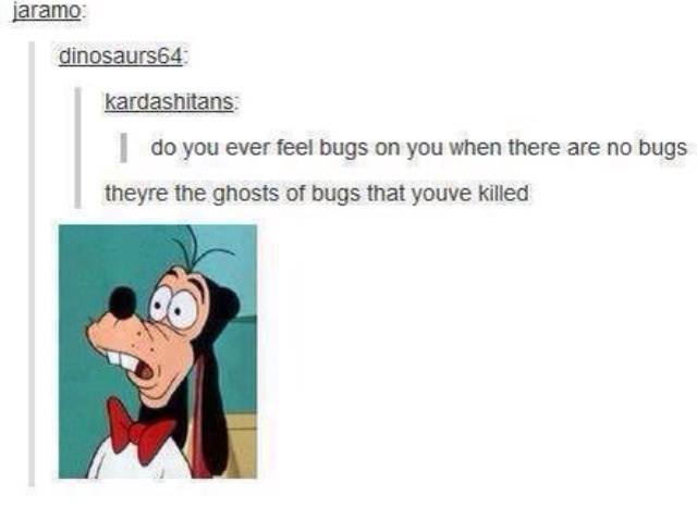 Obrázek ghost bugs