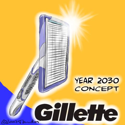 Obrázek gillette2030