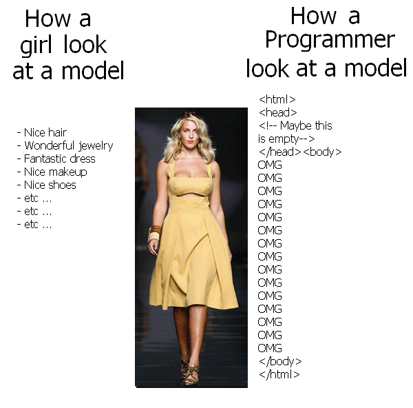 Obrázek girl vs programmer to model