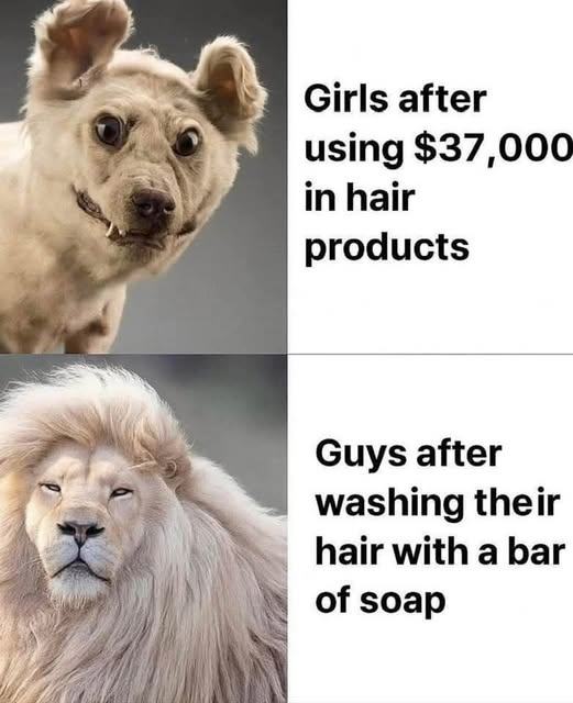 Obrázek girls vs boys