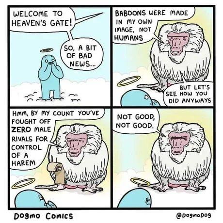 Obrázek god&nbsp;baboom