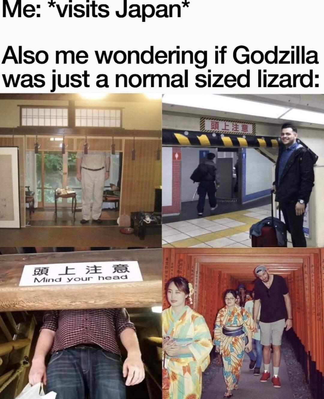 Obrázek godzilla byl dokument