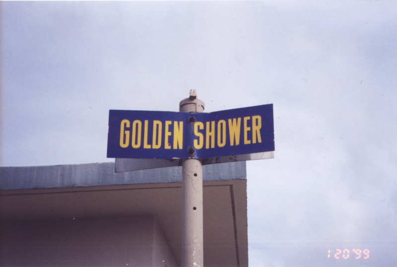 Obrázek golden