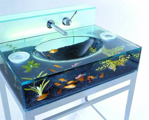 Obrázek goldfish sink