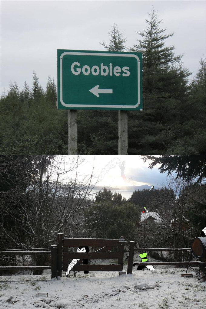 Obrázek goobies pls