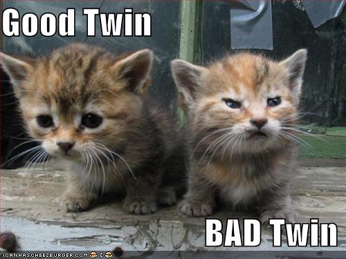 Obrázek good-and-evil-kittens