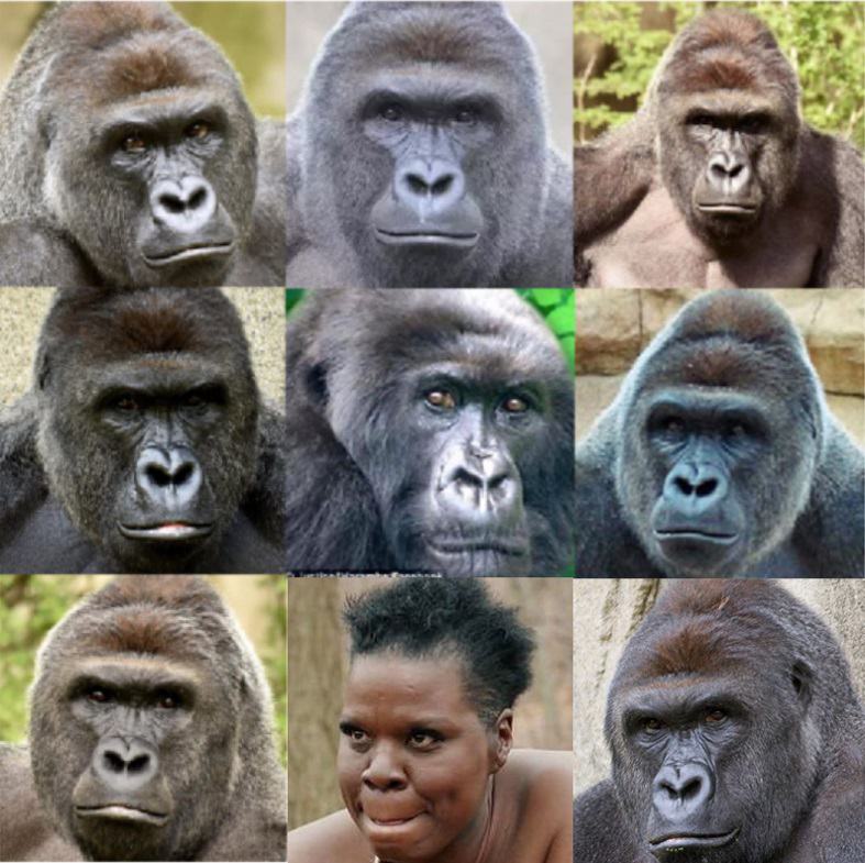 Obrázek gorilaz