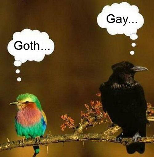 Obrázek goth gay