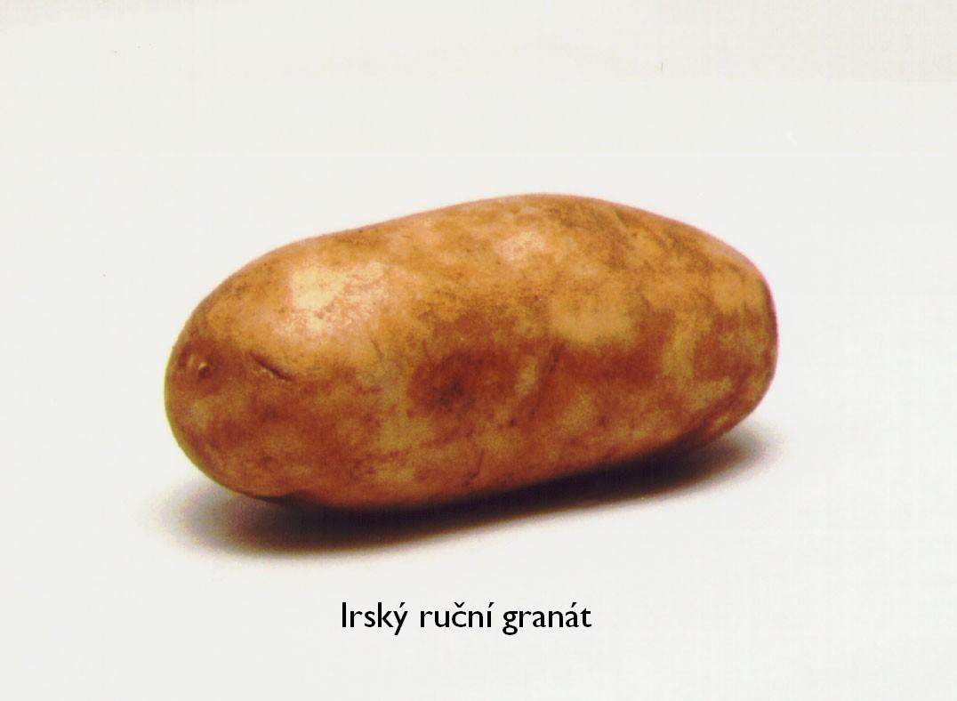 Obrázek granat