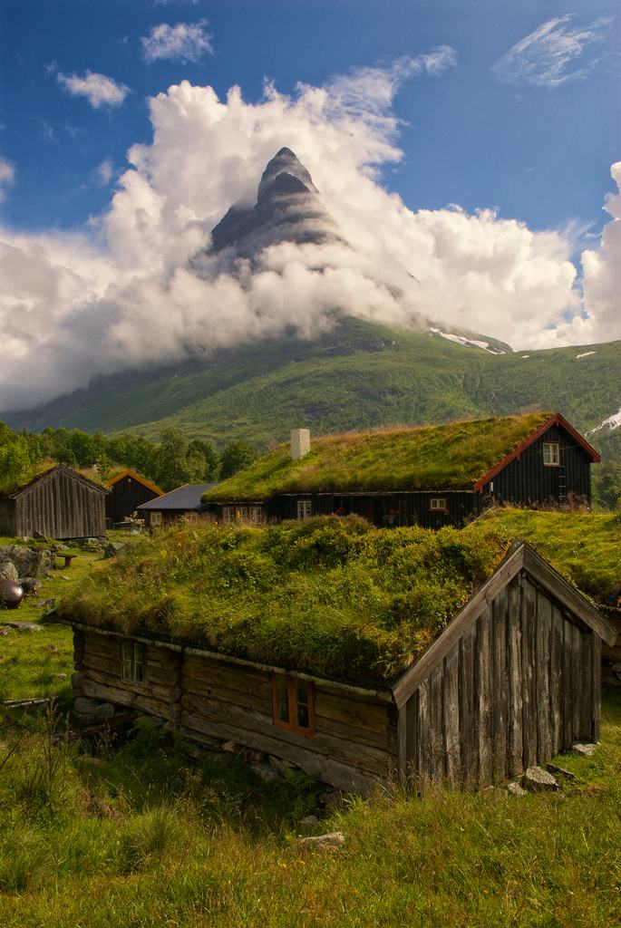 Obrázek grass houses