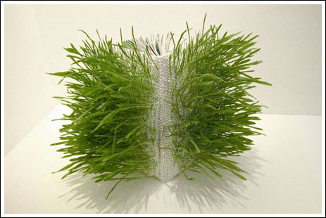 Obrázek grassbook003