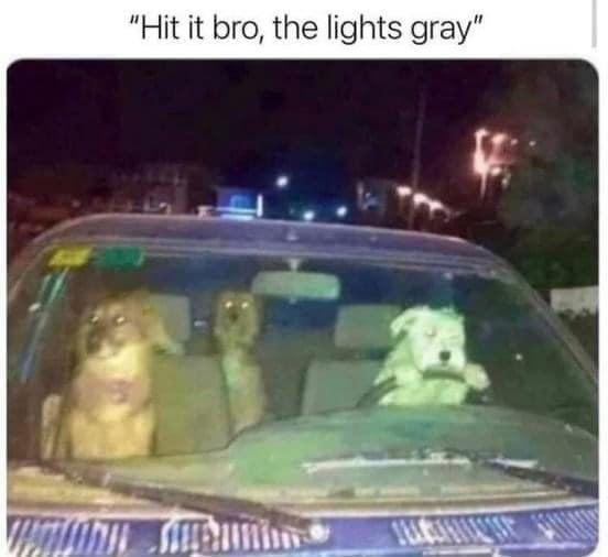 Obrázek gray lights