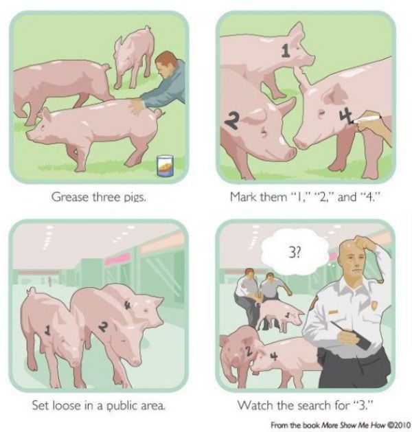Obrázek grease three pigs