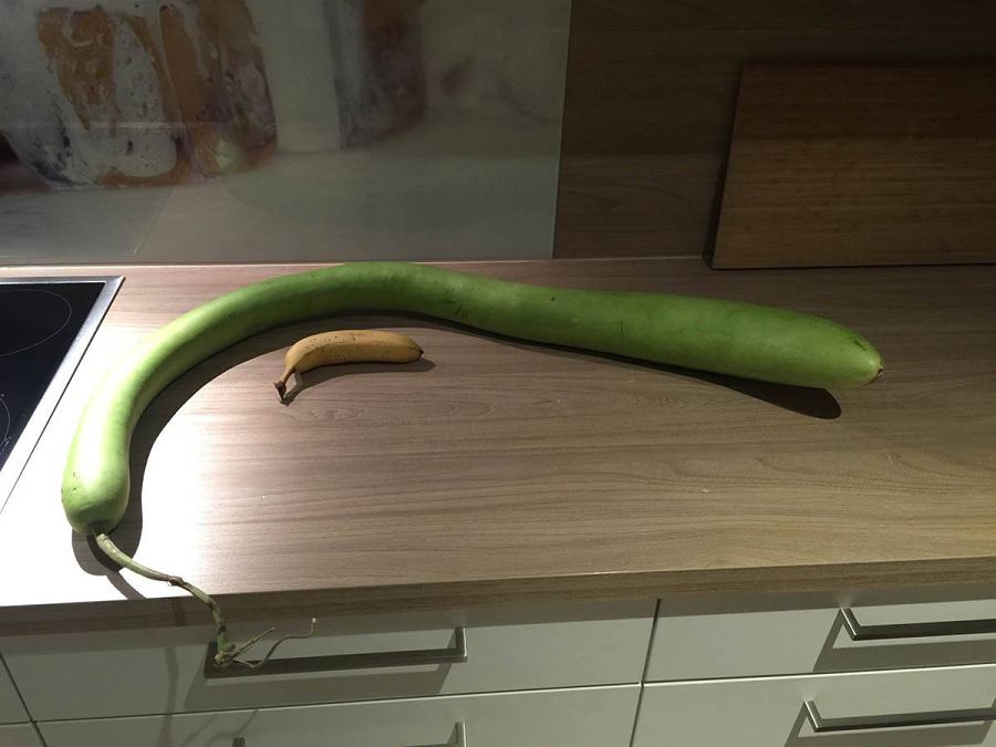 Obrázek great for mom and sister for less