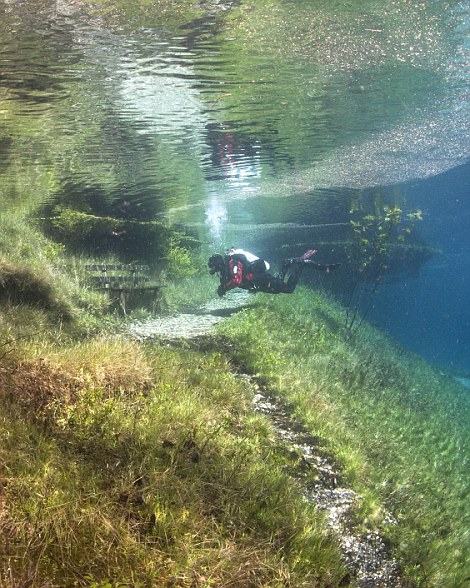 Obrázek green lake austria  281 29