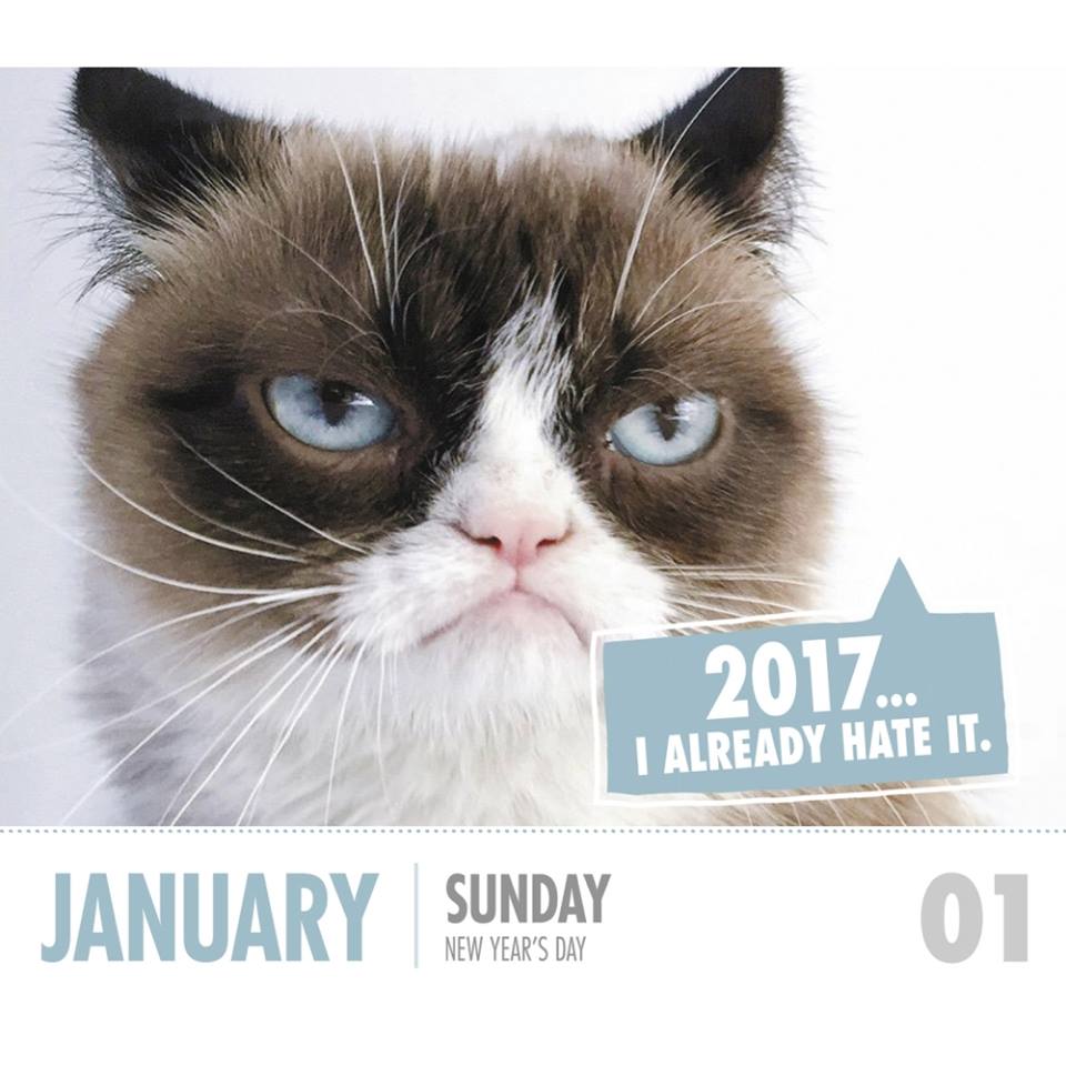 Obrázek grumpy cat 2017