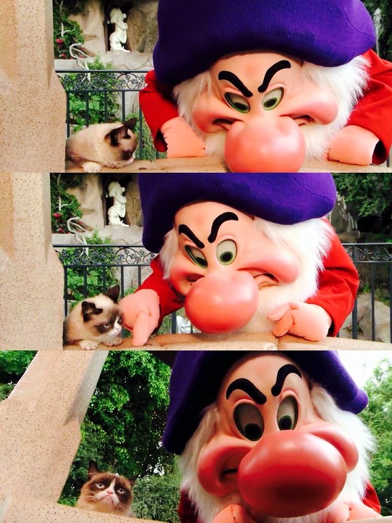 Obrázek grumpy cat at Disney Land