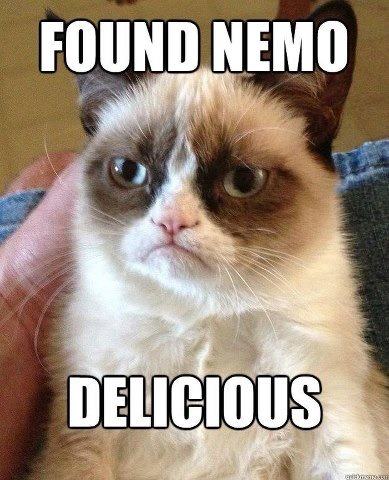 Obrázek grumpy cat nemo