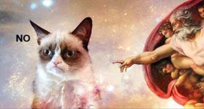 Obrázek grumpy cat vs god