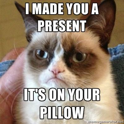 Obrázek grumpy cat with a present