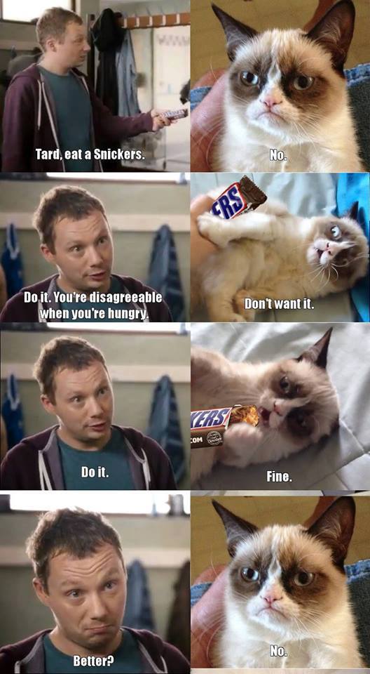 Obrázek grumpy snickers