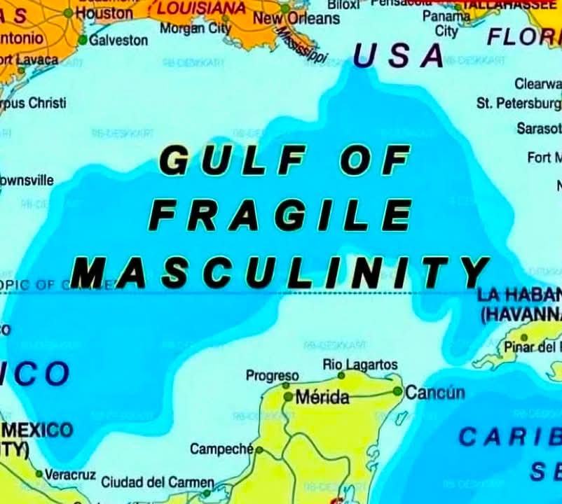 Obrázek gulf of fragile masculinity