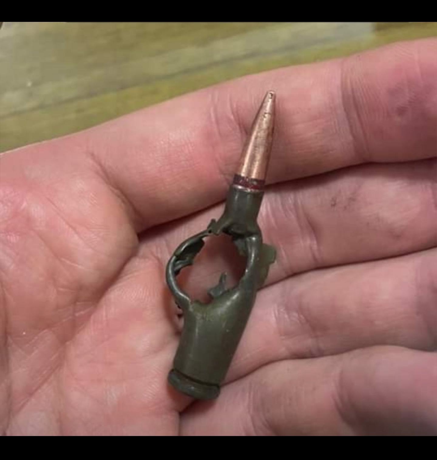 Obrázek gulka zachranila ukrosa