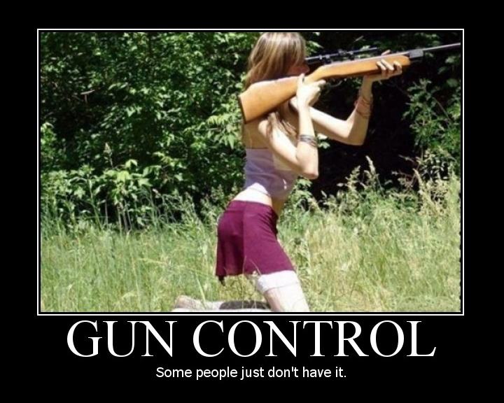 Obrázek gun control