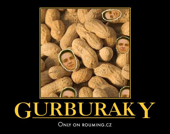 Obrázek gurburaky