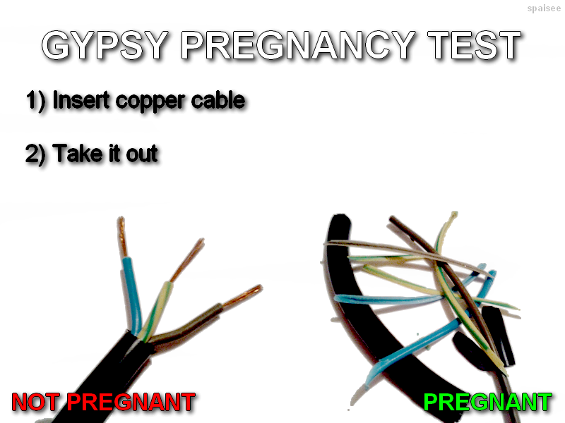 Obrázek gypsy pregnancy test - fixed