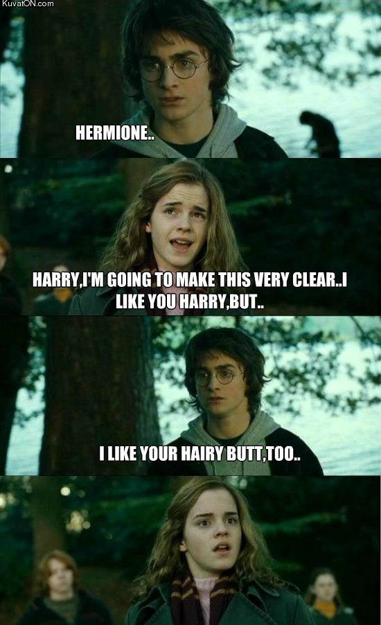 Obrázek hairy hermione
