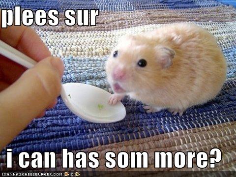 Obrázek hamster-wants-more