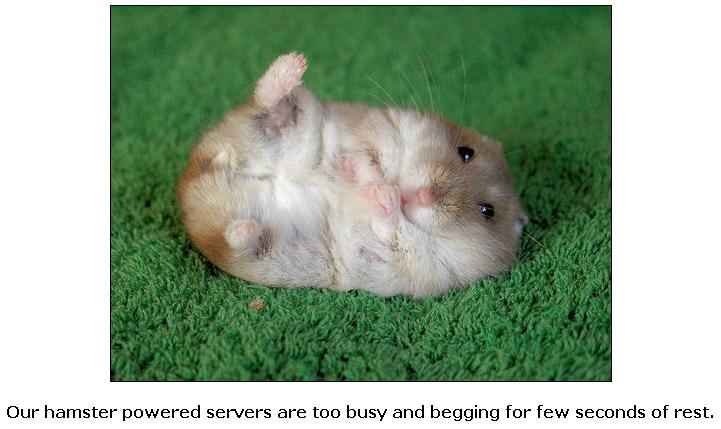 Obrázek hamster