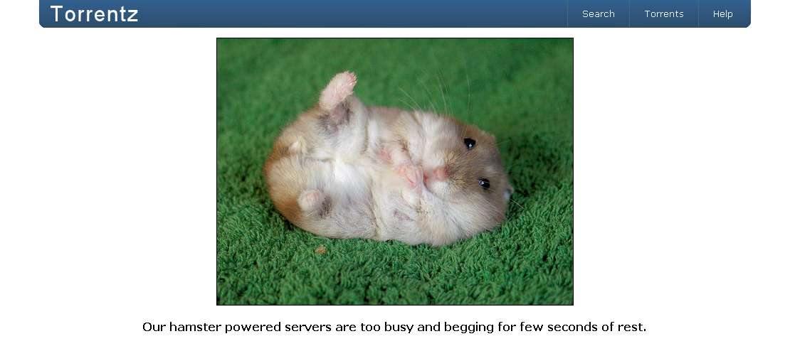 Obrázek hamster
