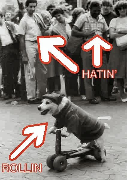 Obrázek hatin-rollin