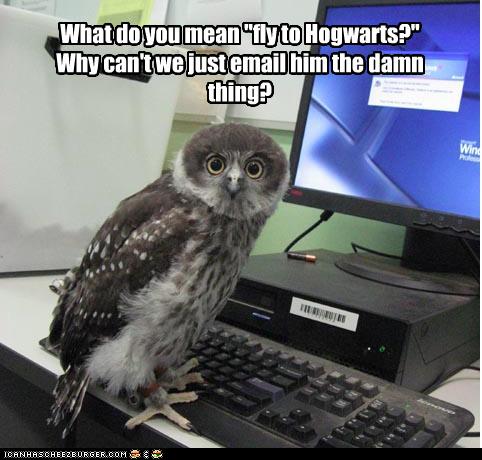 Obrázek hedwig
