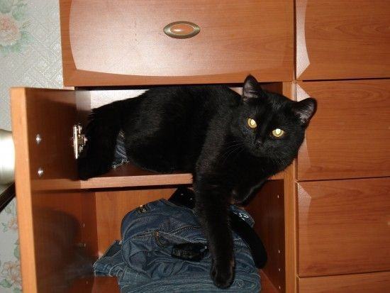 Obrázek heej zavirat bude kdo