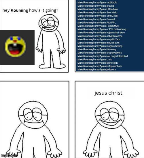 Obrázek hej-rouming