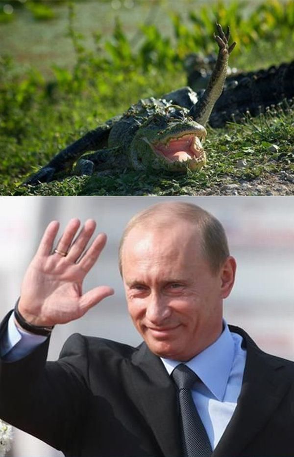 Obrázek hello putin 1