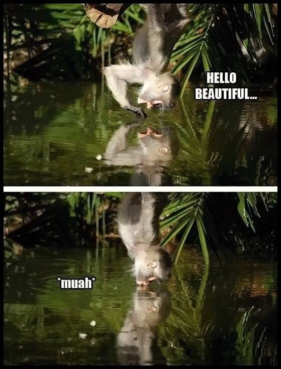 Obrázek hello yourself
