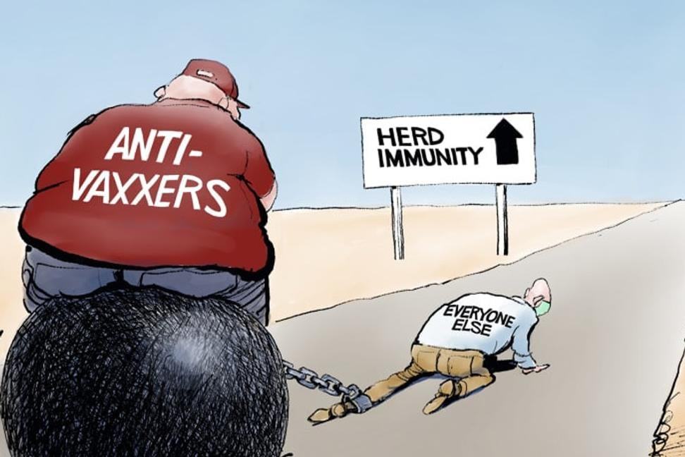 Obrázek herd immunity