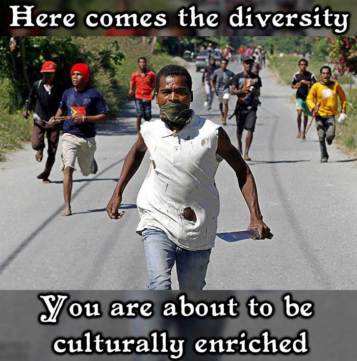 Obrázek here comes the diversity