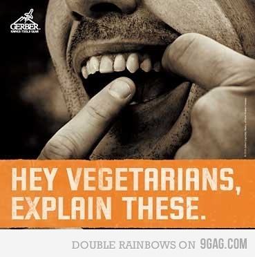 Obrázek hey vegetarians