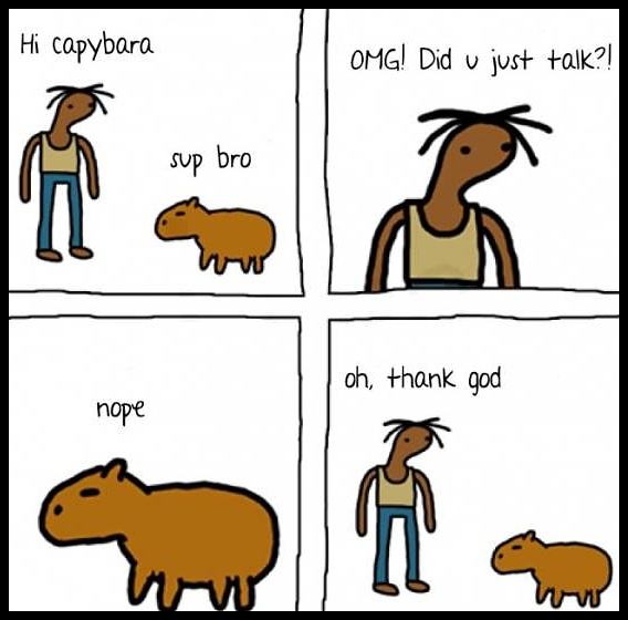 Obrázek hi capybara