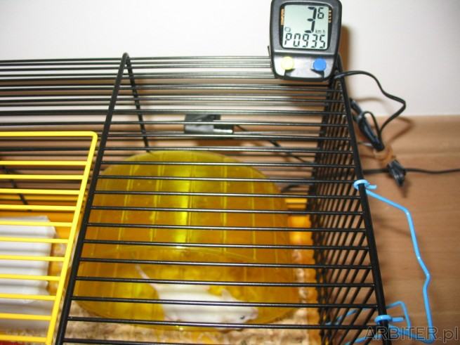 Obrázek high speed mouse