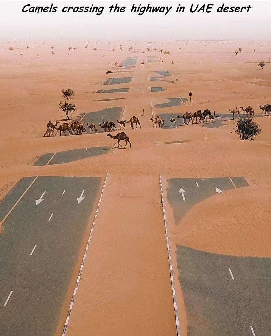 Obrázek highwayUAE